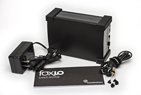 Modern Mini Subwoofer - FoxLo