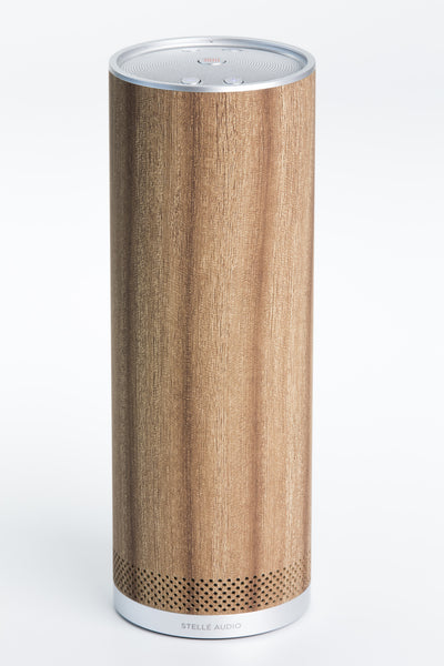 Modern Bluetooth Speaker - Audio Pillar