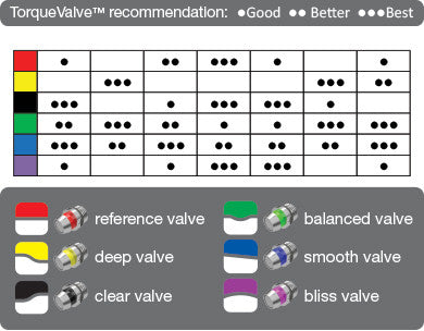 Modern Customizable Noise Isolating Earphones - t096z